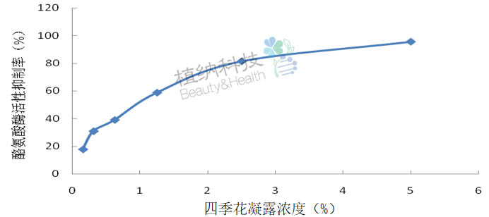 四季花凝露功效